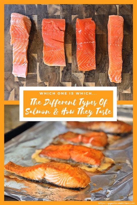 Different Types Of Salmon, Coho Salmon Recipes Baked, Coho Salmon Recipes, Salmon Dinners, Healthy Tilapia, Coho Salmon, Fish Friday, Healthy Food Swaps, Seafood Recipes Healthy