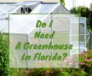 Do I Need A Greenhouse In Florida? Homesteading In Florida, Florida Homesteading, Florida Greenhouse, Greenhouse Attached To House, Southern Gardening, Greenhouse Vegetables, Southern Florida, Best Greenhouse, Winter Greenhouse