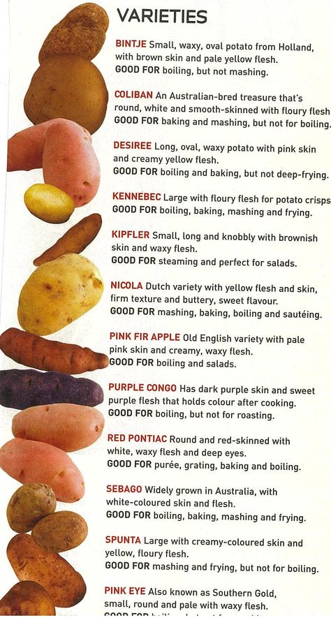 Potatoes! Plane Food, Potato Dishes, Group Meals, Fabulous Foods, Potato Recipes, Kitchen Hacks, Bon Appetit, Fruits And Vegetables, Food Hacks