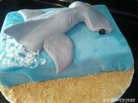 Hammerhead Cake, Hammerhead Shark Cake, Shark Themed Cakes, Shark Cupcakes, Shark Birthday Cakes, Shark Cake, Hammerhead Shark, Shark Party, Shark Birthday