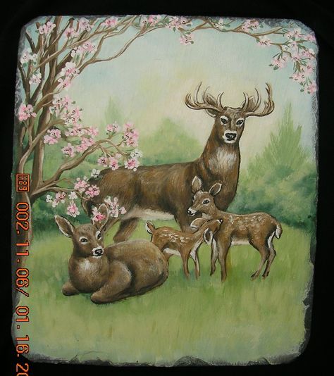 Deer Family Deer Family Painting, Fishing Crafts, Macoto Takahashi Art, Slate Painting, Wall Partition, Painting Images, Deer Pictures, Deer Painting, Acrylic Paint On Wood