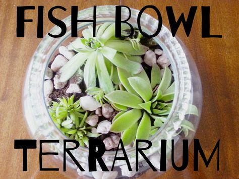 Diy Fish Bowl, Fish Bowl Terrarium, Fishbowl Terrarium, Glass Bowl Terrarium, Bowl Terrarium, Paper Bag Flowers, Crepe Paper Flowers Tutorial, Diy Waterfall, Glass Fish Bowl