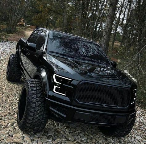 Ford F150 Raptor Black, Lifted Ford F150, Ford Raptor Lifted, Black Ford Raptor, Jeep Driving, Ford F150 Lifted, F150 Lifted, Custom Truck Parts, 2018 Ford F150