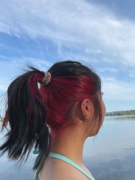 Black And Red Hair Underneath, Black Hair With Red Halo, Bottom Half Red Hair, Red Underneath Brown Hair, Hair Color Underneath Red, Red Hair Color Underneath, Red Hidden Hair Color, Brown And Red Hair Underneath, Underhair Dye Red