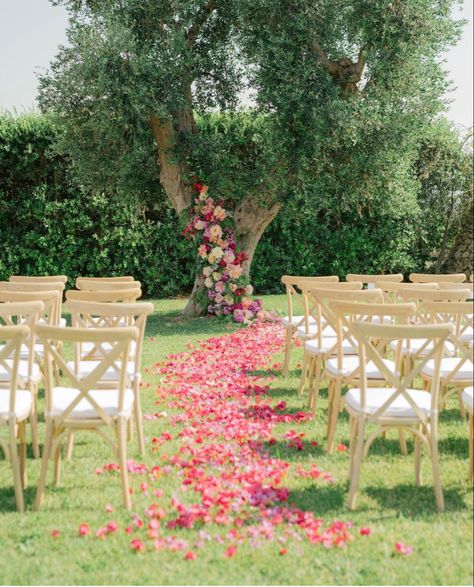 Neutral Fall Wedding, Wedding Cottagecore, Wedding Walkway, Italian Destination Wedding, Backyard Walkway, Aisle Flowers, Olive Grove, Board Wedding, Fall Wedding Invitations