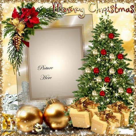 Merry Christmas Photo Frame, Christmas Profile Pictures, Xmas Frames, Christmas Card Background, Merry Christmas Frame, Christmas Promo, Christmas Picture Frames, Christmas Wallpaper Free, Christmas Photo Frame