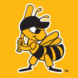 salt lake bees - Google Search Utah Ski Resorts, Bee Games, Baseball Tattoos, Utah Bucket List, Utah Ski, Utah Skiing, Baseball Teams Logo, Sport Logos, Baseball Teams