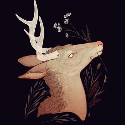 A Deer, Close Your Eyes, A Drawing, Antlers, In The Dark, Your Eyes, Deer, Flowers, Art