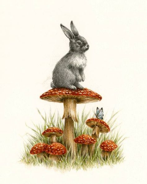 Easter Drawing Ideas, Easter Drawing, Easter Drawings, Mushroom Drawing, Animal Illustration Art, Woodland Art, Rabbit Art, Bunny Art, Mushroom Art