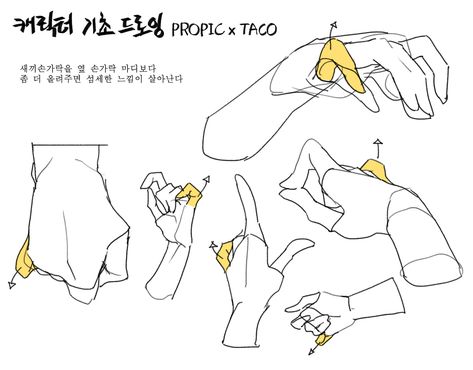 Draw Hands, Anatomy Tutorial, Hand Drawing Reference, Hand Reference, Body Reference Drawing, 캐릭터 드로잉, Body Anatomy, Anatomy Drawing, Figure Drawing Reference