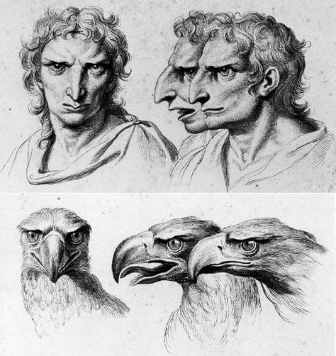 From Charles Le Brun’s 1671 series of comparative drawings of human and animal faces depicting the physiognomy theory and also part of his own treatise on the subject. Face Reading, Animal Symbolism, Ancient Origins, Animal Faces, Life Drawing, Art Plastique, Fantasy Creatures, Art Inspo, Anatomy