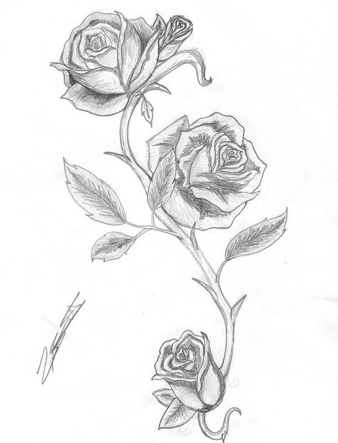 Thorny roses Rose Thorn Tattoo, Rose And Thorns, Rose Vine Tattoos, Rose Tattoo With Name, Portrait Tattoo Sleeve, Thorn Tattoo, Vine Drawing, Rose Drawing Tattoo, Rose Thorns