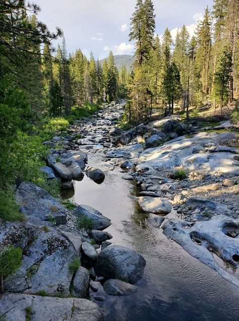 Dinkey Creek Stone Creek, Atami, French Drain, Dream Future, Silly Things, Save The Dates, Ponds, Beautiful Landscapes, Shoot Ideas