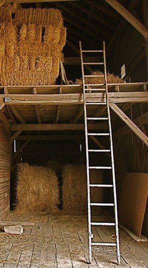 Hay Aesthetic, Hay Loft, Capstone Project, Country Barns, By Any Means Necessary, Hay Bales, Farm Barn, Country Scenes, Inside Job