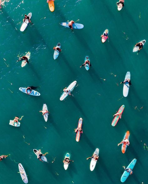 Seth Willingham on Instagram: “The Paddle Out This is one of my favorite things about the surfing community. When a beloved person passes away we all get together and…” Surfing Together, Surfing Aesthetic, Girl Surfer, Surfer Boys, Surf Life, Surfing Waves, Surfer Girl, My Favorite Things, Favorite Things