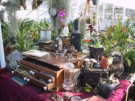 Botanist's set dressing | "photo by Jude McCearley" | Flickr Magical Greenhouse, Apothecary Ideas, Cabinet Of Curiosity, Set Dressing, Lab Equipment, Wellness Spa, Practical Magic, Mad Scientist, Escape Room