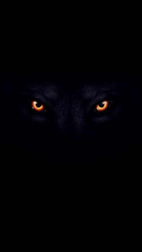 Link: http://m.kappboom.com/gallery/l?p=120475&d=5&share=pinterest.shareextension Lup Singuratic, Regard Animal, Wolf Black, Scary Eyes, Regnul Animal, Wolf Eyes, Wolf Artwork, Fantasy Wolf, Lion Wallpaper