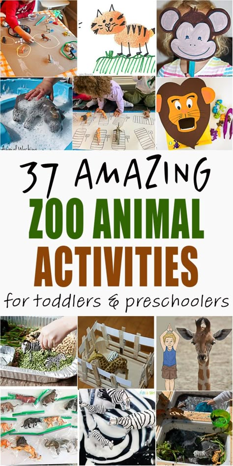 37 Amazing Zoo Animal Activities - HAPPY TODDLER PLAYTIME Reggio Animal Activities, Zoo Stem Activities Preschool, Eyfs Zoo Activities, Zoology Activities For Preschool, Animals Unit Kindergarten, Animal Planet Activities For Preschool, Pre K Animal Activities, Zoo Animals Preschool Activities Science, Zoo Hands On Activities