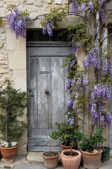 Ansouis, Lubéron, France. One of the most beautiful villages I have ever visited. Cool Doors, Pool Design, Old Door, Old Doors, Unique Doors, Beautiful Doors, Garden Gates, Wisteria, The Doors