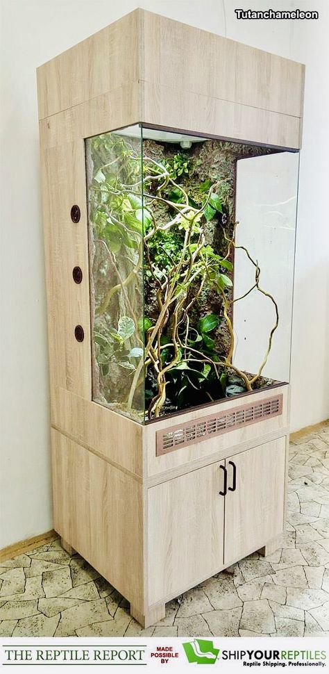 Chameleon Terrarium, Chameleon Enclosure, Chameleon Cage, Jackson Chameleon, Snake Cages, Terrariums Diy, Diy Reptile, Bearded Dragon Terrarium, Bearded Dragon Cage