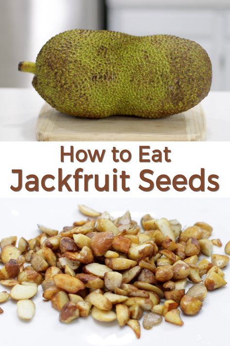 Did you know Jackfruit seeds are edible? So, don't throw them away. They can be boiled or roasted and also sautéd after. Used in a variety of recipes or just eaten as a snack. All you need are jackfruit seeds, water, salt, etc. They are incredibly nutrititious as well. If I can do it, you can do it. Let's get started! Jackfruit Seeds Recipe, How To Cut Jackfruit, How To Cook Jackfruit, Beef Stew Healthy, Jackfruit Seeds, Jack Fruit, Facial Routine, Jackfruit Recipes, Quick Vegan