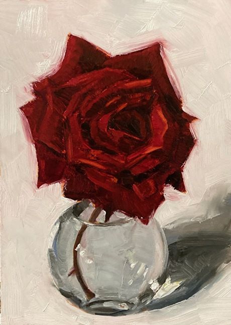 red rose by nina warner, Oil, 7 x 5 Japanese Magnolia, Painting The Roses Red, Rose Oil Painting, Orange Poppy, Purple Iris, Rose Oil, Drawings Simple, Rose Painting, Artist Websites