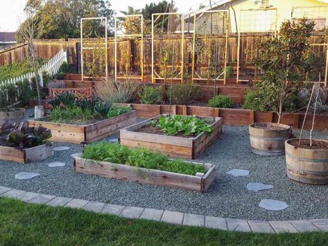 Beds Small Spaces, Tall Raised Garden Beds, Raised Garden Bed With Trellis, Garden Bed With Trellis, Veggie Garden Layout, Elevated Garden, Shed Landscaping, Garden Bed Layout, Tattoo Plant