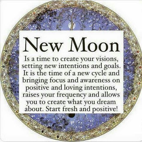 Witchy Bachelorette Party, New Moon Manifestation, Lotus Spiritual, New Moon In Capricorn, Witchy Bachelorette, New Moon Intentions, New Moon In Taurus, Moon Intentions, Spiritual Faith