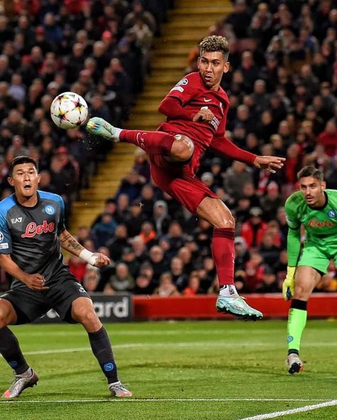 Bobby Firmino, Liverpool Fc Team, Ronaldo 9, Liverpool History, Liverpool Players, Best Football Players, Football Player, Liverpool Fc, Football Soccer