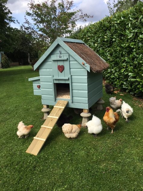 Silky Chicken Coop, Chicken Coupe Ideas, Silkie Chickens Coop, Barn Chicken Coop, Cute Chicken Coops, Country Kitchen Ideas, Chicken Coop Garden, Chicken Coup, Backyard Chicken Coop Plans