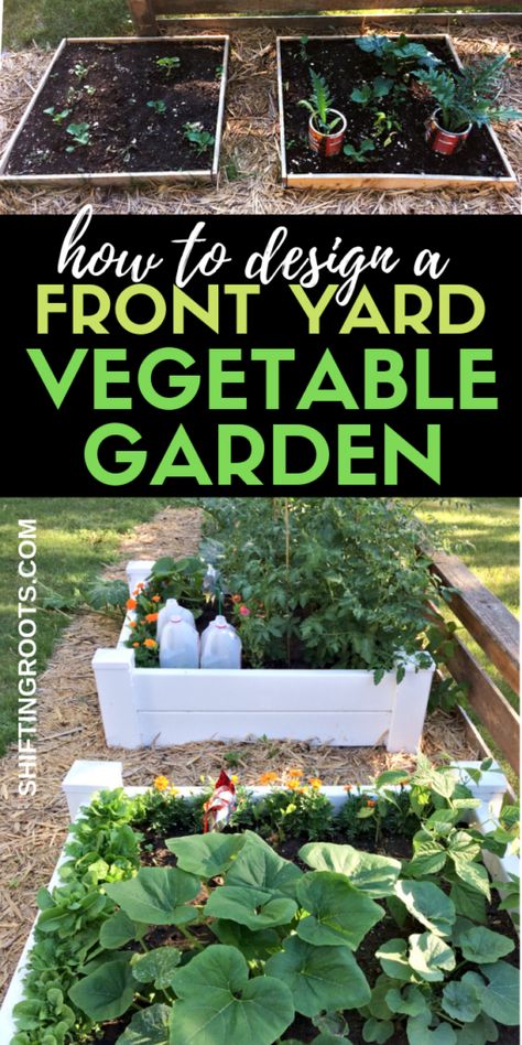 Front Yard Vegetable Garden, Yard Vegetable Garden, Garden Front Of House, Vegetable Garden Beds, Garden Bed Layout, Front Yards Curb Appeal, Vegetable Beds Raised, Vegetable Garden Raised Beds, Front Yard Design