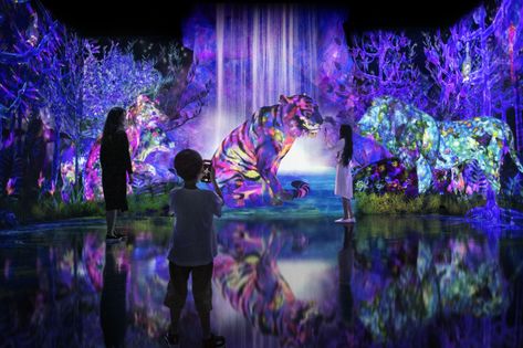 Step into an enchanted digital forest in this collaborative exhibition between teamLab and Galaxy. This interactive experience is based on the concept of catchi African Art Museum, Public Artwork, Nature Museum, Roppongi, Architecture Art Design, Forest Photos, Animal World, Mystical Forest, Technology Wallpaper