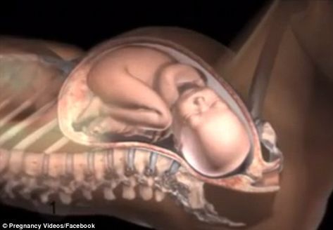 A video animation reveals exactly how a woman's body adapts and moves, allowing her to give birth Mucus Plug, Normal Birth, Period Jokes, Early Labor, Birth Videos, Emergency C Section, Body Map, Give Birth, Baby Birth