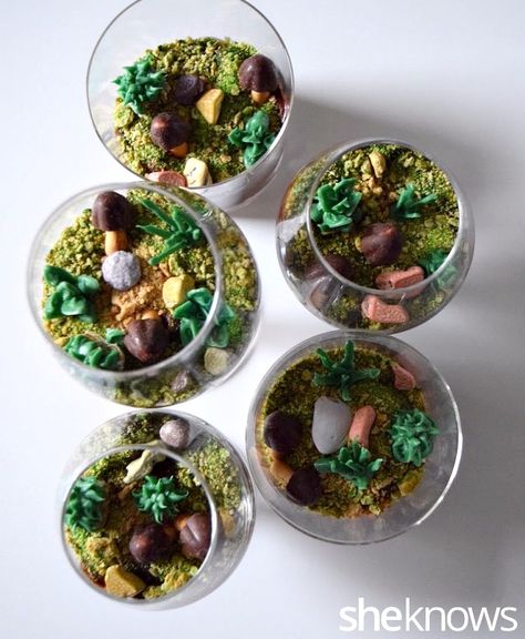 Edible terrarium cups complete with rocks, mushrooms and succulents will make you forget all about dirt cups Plant Dessert Ideas, Fairy Dirt Cups, Edible Terrarium Dessert, Terrarium Dessert, Chocolate Terrarium, Dinosaur Baking, Edible Terrarium, Mushroom Snacks, Dirt Cake Cups