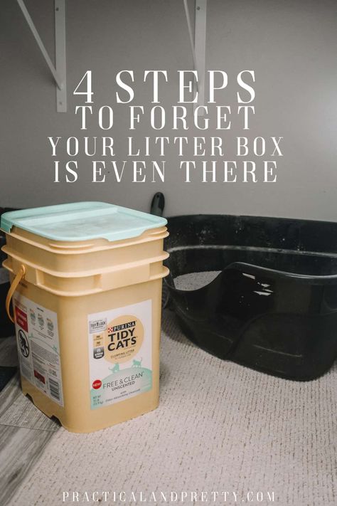 Cat Odor Eliminator Diy, Litter Box Smell Hacks, Where To Put Litter Box In House, Kitty Litter Box Ideas, Odor Eliminator Diy, Cat Smell, Cat Litter Smell, Cat Liter, Cat Homes