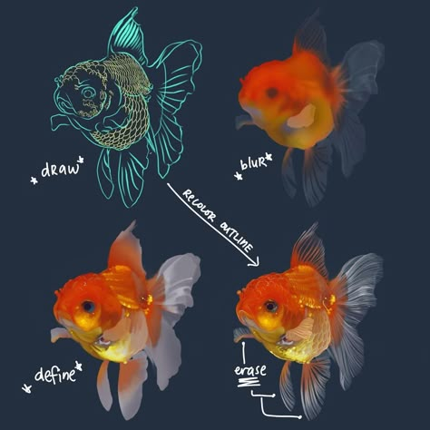 Haze Long on Instagram: “Painting a goldfish is easy when you can have layers. 🌕sketch n draw. 🌕layer 1 - shadow colors blurred, transparent fins 🌕layer 2 -…” Goldfish Color Palette, How To Paint Transparent Objects, Jelly Fish Digital Art, Goldfish Character Design, Oranda Goldfish Drawing, How To Draw A Goldfish, How To Draw Goldfish, Fish Painting Tutorial, Goldfish Reference