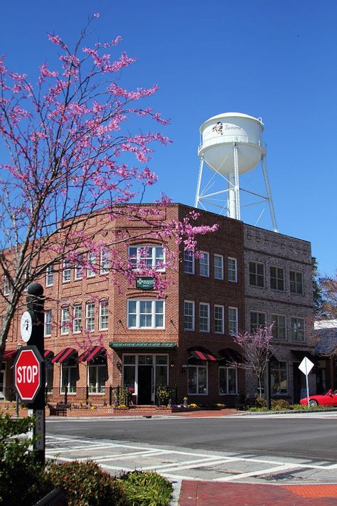 Small Town Square, Senoia Georgia, Georgia Trip, Small Town America, Small Town Life, North Georgia Mountains, Georgia Travel, Organized Chaos, Georgia Usa