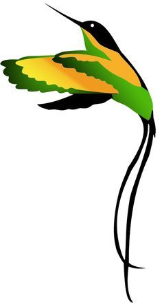 The hummingbird - the bird of Jamaica. I saw one on my trip ... Jamaican Tattoos, Jamaican History, Bird Of Paradise Yoga, Jamaica Culture, Jamaica History, Jamaican People, Drum Tattoo, Jamaican Colors, Jamaican Art