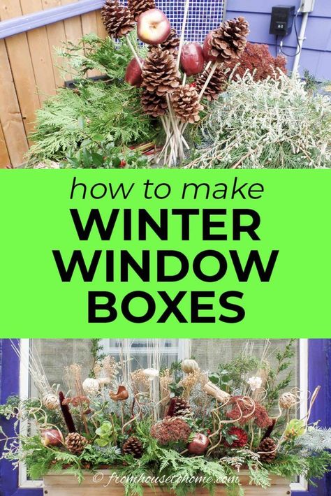 This tutorial to make winter window boxes is awesome! Made with evergreen branches, pine cones, dried flowers and faux apples, these winter planters are so easy to put together in the flower boxes or containers you already have in your garden. #fromhousetohome #winter #garden #containers #planters  #gardeningideas Container Gardening Design, Diy Garden Path, Diy Garden Beds, Wood Window Boxes, Outdoor Winter Decor, Indoor Gardening Supplies, Wooden Flower Boxes, Winter Window Boxes, Christmas Window Boxes