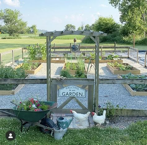 Homestead Gardens, Farmhouse Garden, Garden Inspo, Veg Garden, Garden Area, Have Inspiration, Backyard Farming, Home Vegetable Garden, Greenhouse Gardening