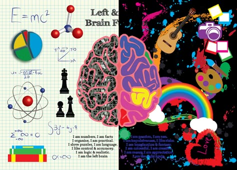 Left And Right Brain Art, Left Brain And Right Brain, Brain Infographic, Brain Lobes, Brain Png, Left And Right Brain, Left Brain Right Brain, Brain Poster, Brain Graphic