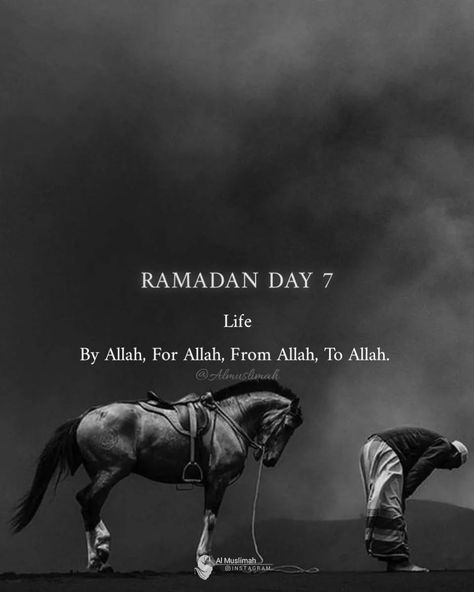 Ramazan Quotes, Ramadan Day 7, Ramdan Mubarak, Quotes 2023, Islamic Nasheed, Quotes In English, Ramadan Day, Ramadan Quotes, Islamic Quotes Wallpaper