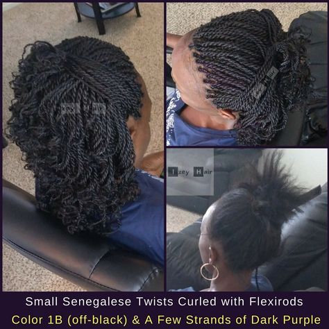 Braided Hairstyles Senegalese Twists, Knotless Senegalese Twist With Curls, Small Senegalese Twist With Color, Senagele Twist With Curls, Sengelese Twist, Short Senegalese Twist, Senegalese Braids, Twists Crochet, Twists Braids