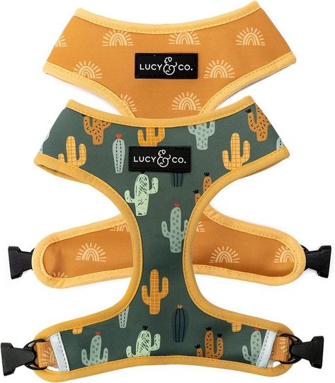 Cute Reversible Dog Harness Walking Halter - Best Designer Pet Harnesses for Medium Dogs - Padded Adjustable Vest for Easy Walking (X-Large, Looking Sharp) Small Dog Harness, Puppy Harness, Dog Pads, Poop Bag Holder, Pet Harness, Dog Gear, Dog Collars & Leashes, Cactus Print, Medium Dogs