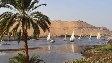 Egyptian Boat, Cruise Holidays, Egypt Tours, Lake Bled, Nile River, American Cities, Greatest Adventure, Luxor, Lonely Planet