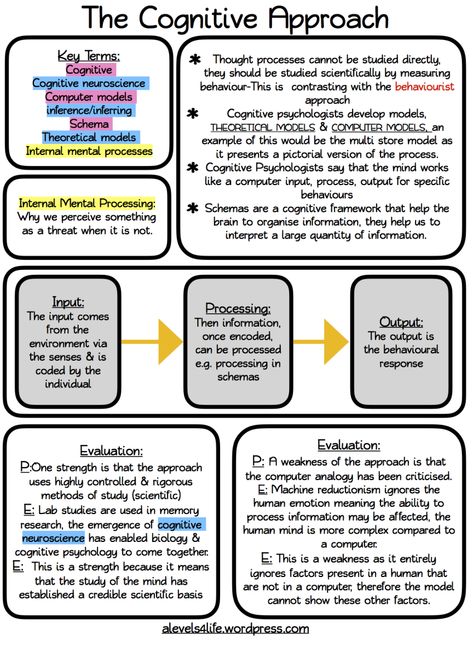 Hi! This week I am pleased to share with you some revision notes for the cognitive approach. I hope that these are useful for you and that they help you with learning the key features of this appr… Mcat Psychology Notes, What Is Psychology Notes, Sociology Notes Student, Criminology Notes Ideas, Psychodynamic Approach, Psychology Revision, Intro To Psychology, Psychology A Level, Teaching Psychology