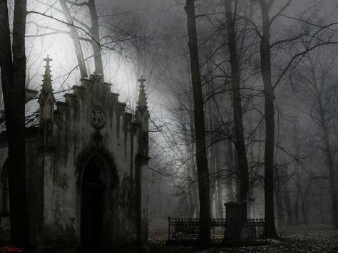 Gothic graveyard Owl Hooting, Grim Fairy Tales, Gothic Background, Gothic Landscape, Dark Jungle, Gothic Images, Gothic Photography, Church Aesthetic, Red Gothic