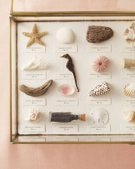 23 Beach Wedding Ideas You Can DIY to Make a Splash at Your Seaside Bash Bucket Centerpiece, Seashell Display, Shell Display, Beach Wedding Ideas, Cascading Wedding Bouquets, Shell Collection, Cabinet Of Curiosities, Seating Cards, Card Display