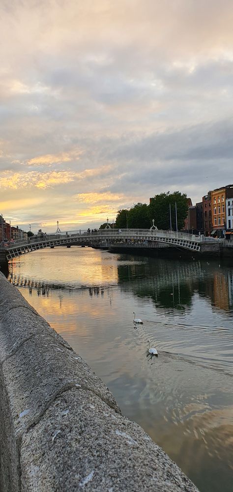 Ha'penny Bridge in Dublin, Ireland Ha'penny Bridge Dublin Ireland, Ha Penny Bridge Dublin, Ha'penny Bridge, Living In Ireland, Ireland Living, Dublin Ireland Aesthetic, Dublin Summer, Dublin Photography, Dublin Aesthetic