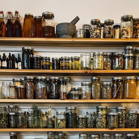 Apocathary Kitchen, Holistic Pantry, Witchy Wellness, Tincture Organization, Apothecary Spice Cabinet, Apothecary Must Haves, Herbal Cabinet, Herb Apothecary, Herb Collection